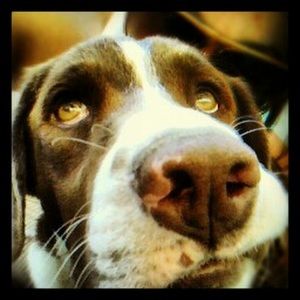 Meet your Posher, Bertha